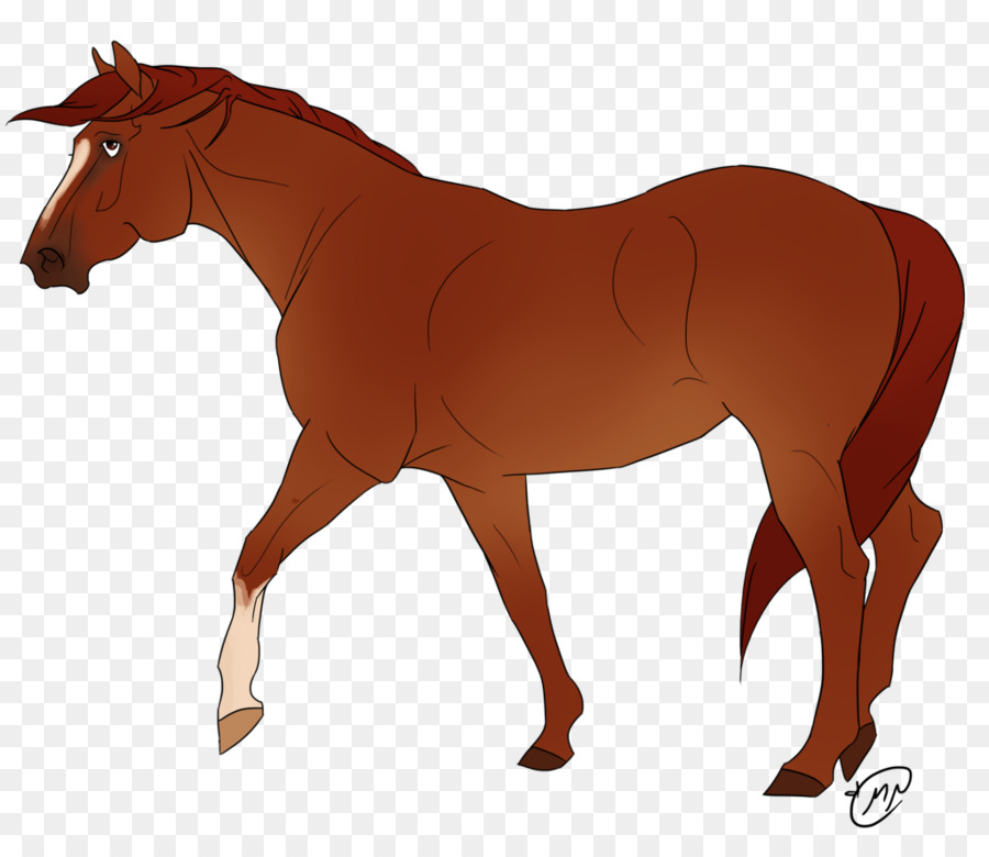 Pony，Semental PNG