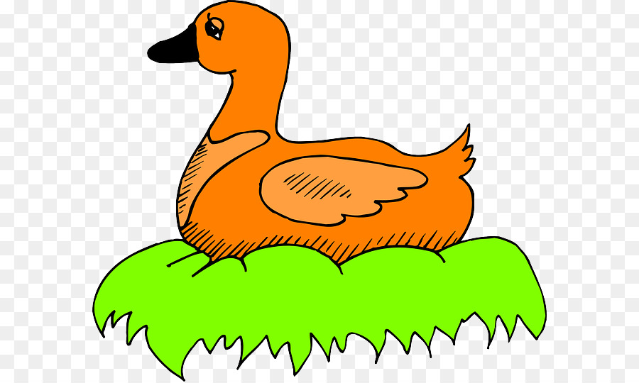 Pato Naranja，Pato PNG