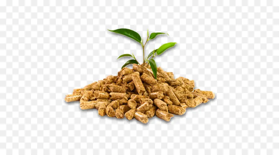 Planta Y Pellets，Crecimiento PNG