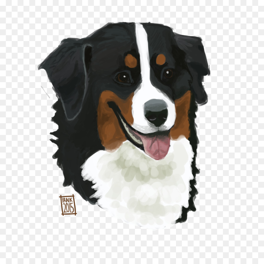 Perro De Montaña Bernés，Raza De Perro PNG