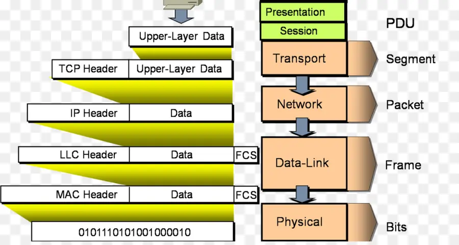 La Encapsulación，Unidad De Datos De Protocolo PNG