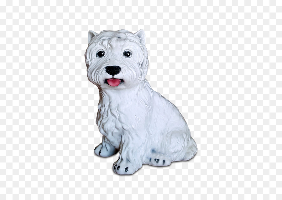 West Highland White Terrier，Cairn Terrier PNG