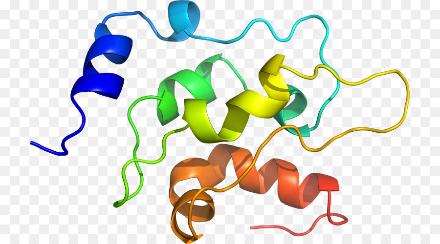 Hélice De Proteína，Molécula PNG