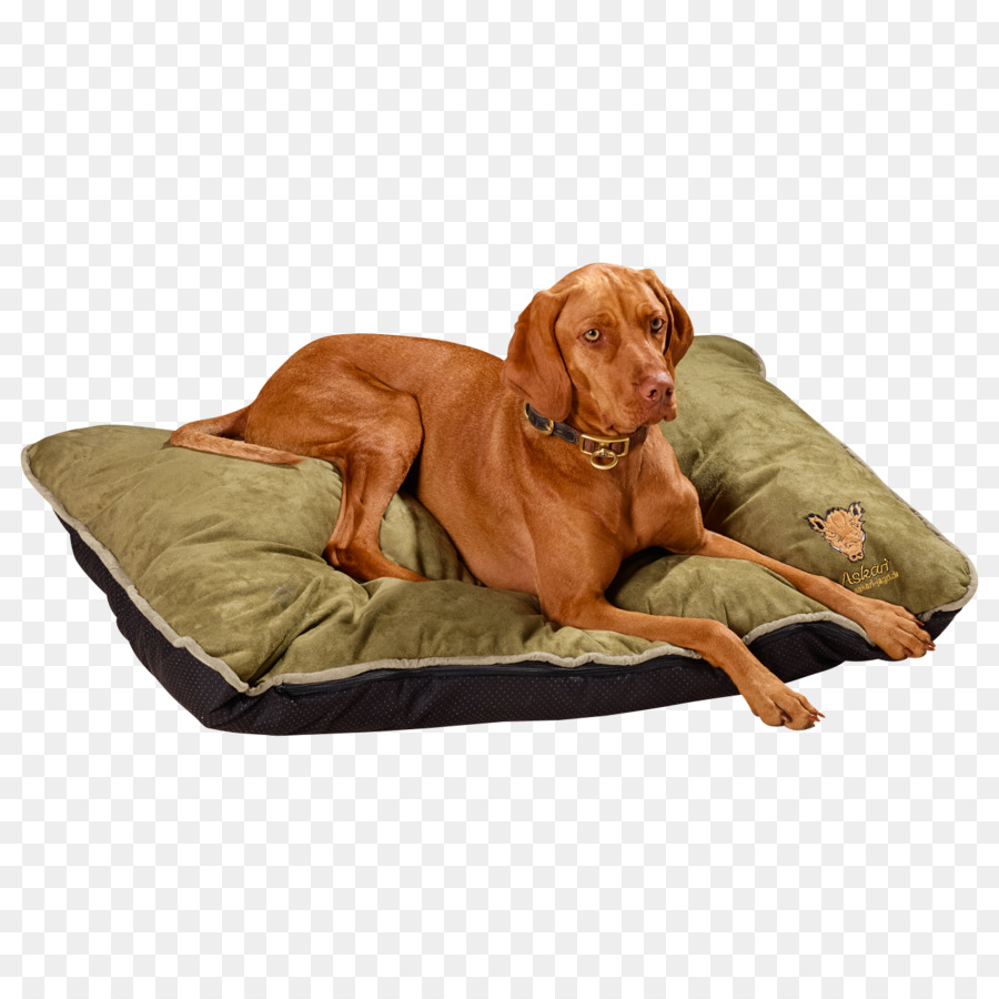 Perro En La Cama，Mascota PNG