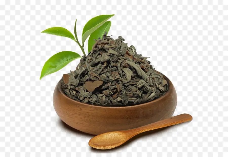 Nilgiri Té，Hōjicha PNG