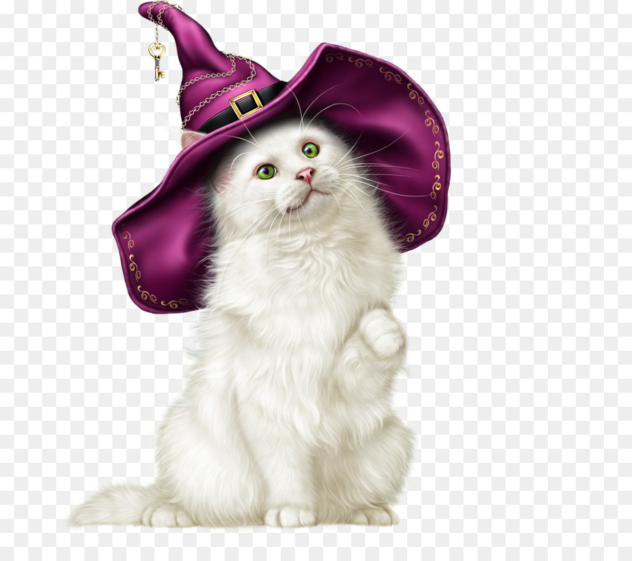 Gato Con Sombrero De Bruja，Víspera De Todos Los Santos PNG