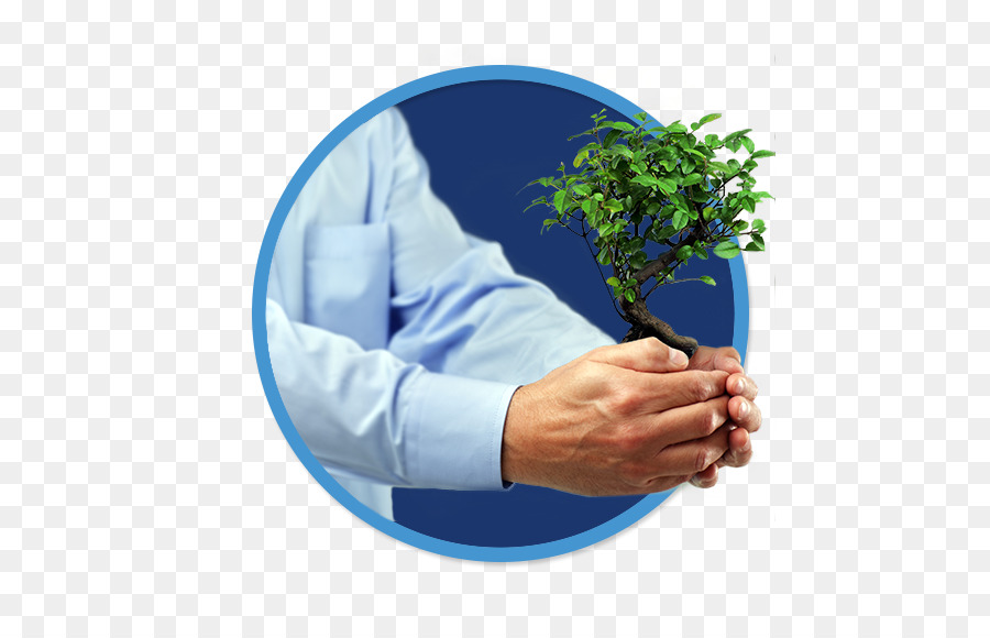 La Inversión，árbol PNG