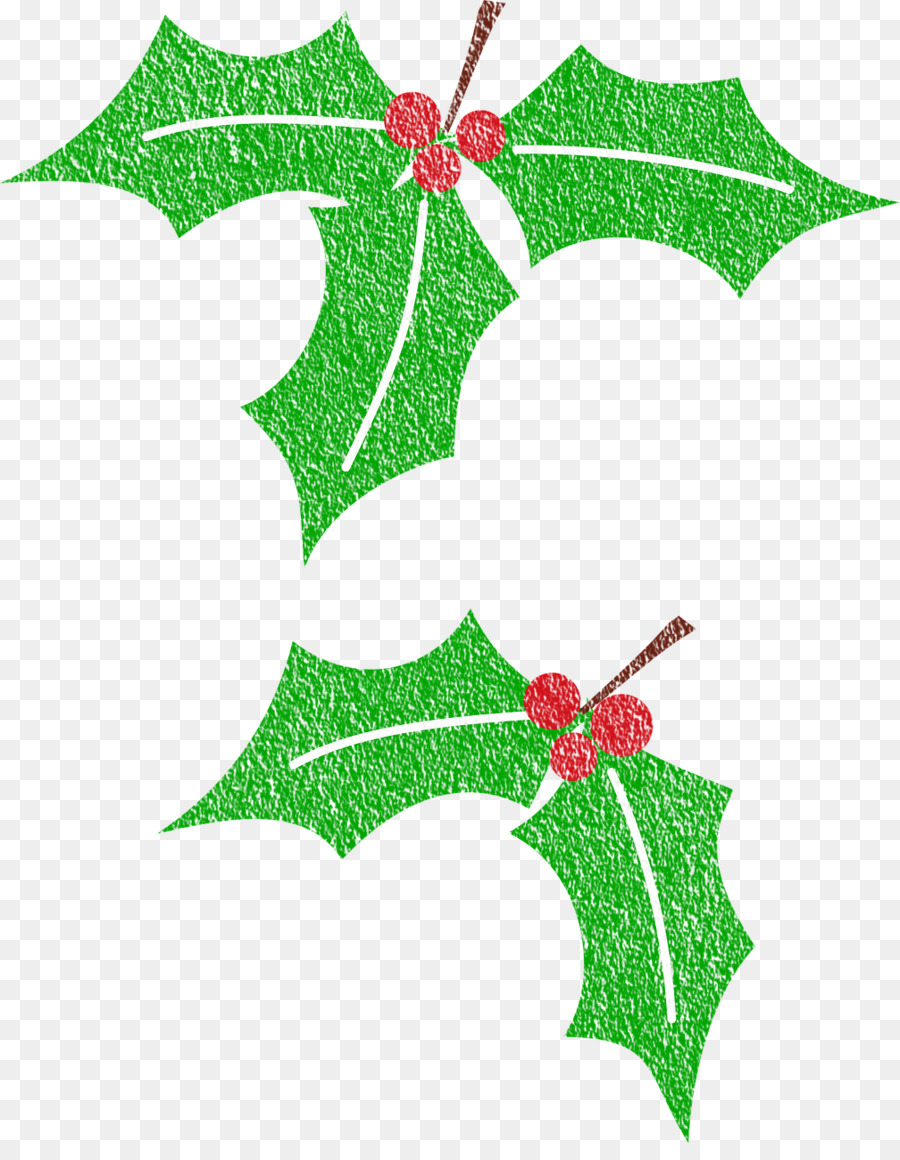 Navidad，Acebo Común PNG