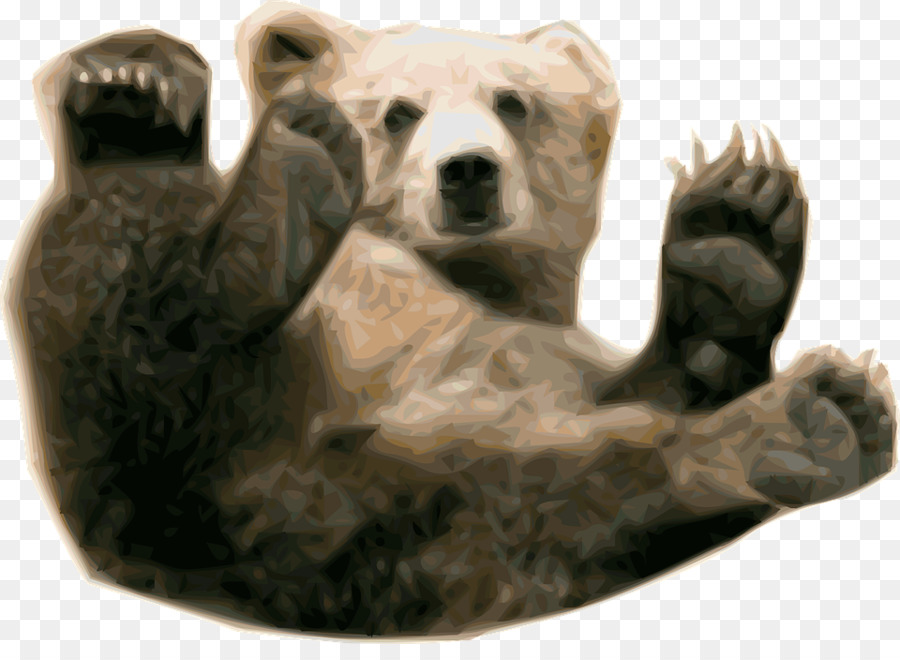 Oso，Oso Polar PNG