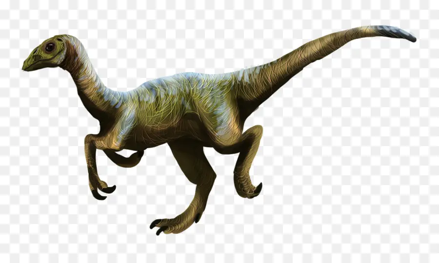 Velociraptor，Compsognathus PNG