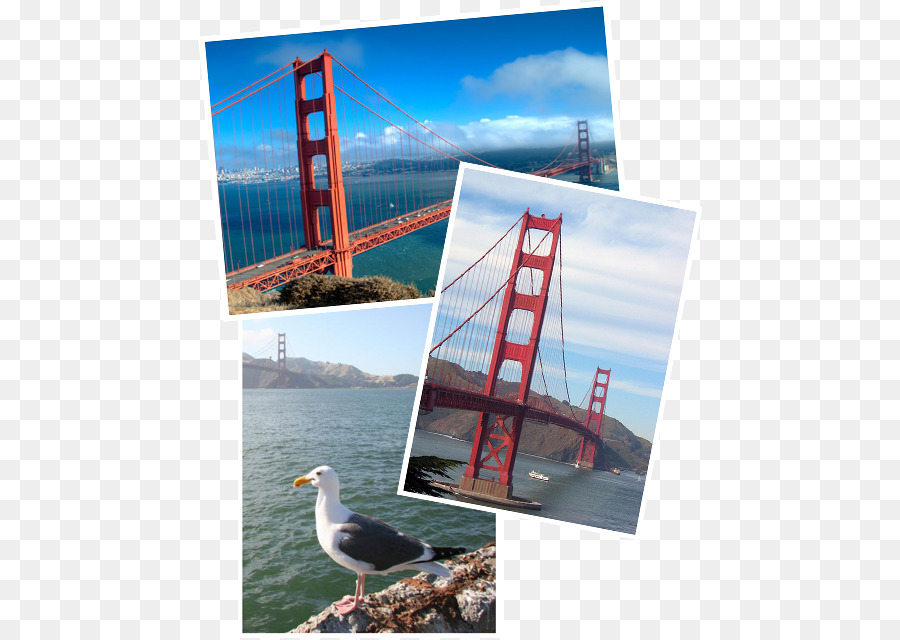 San Francisco，Publicidad PNG