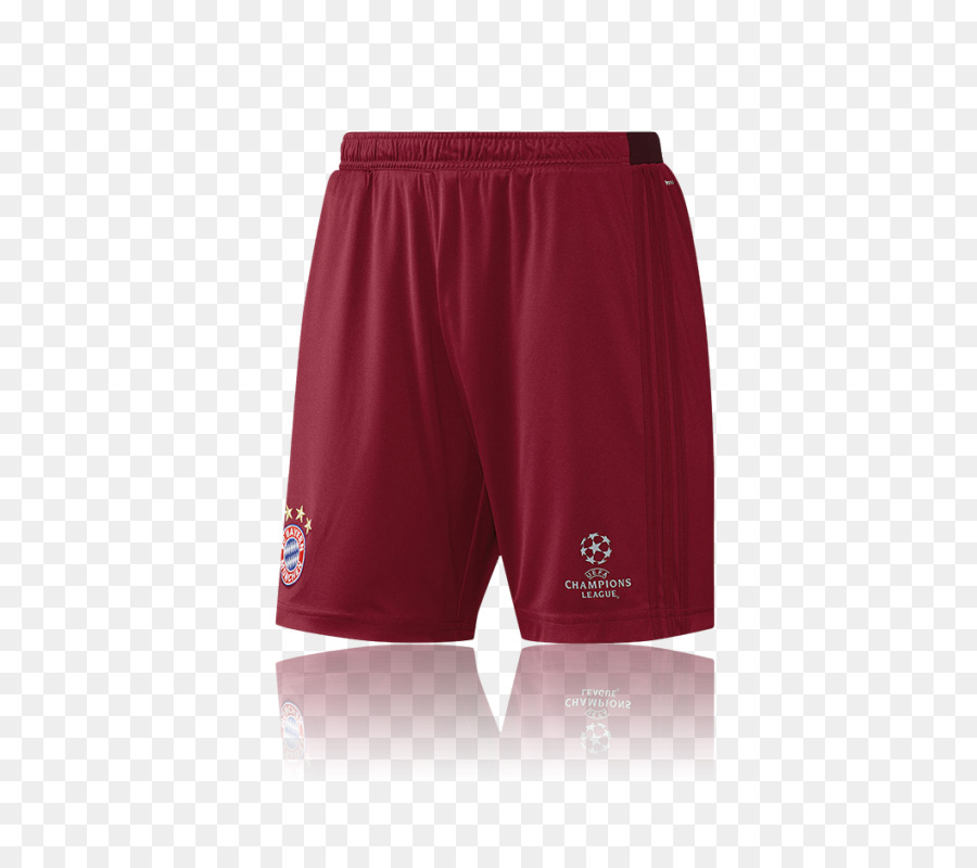 Bermudas，Pantalones Cortos PNG