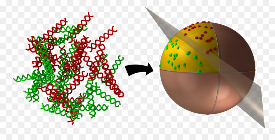 Microalgas，La Biotecnología PNG