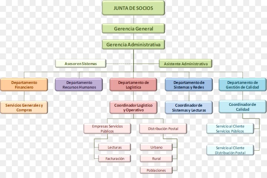 Organigrama，Organización PNG