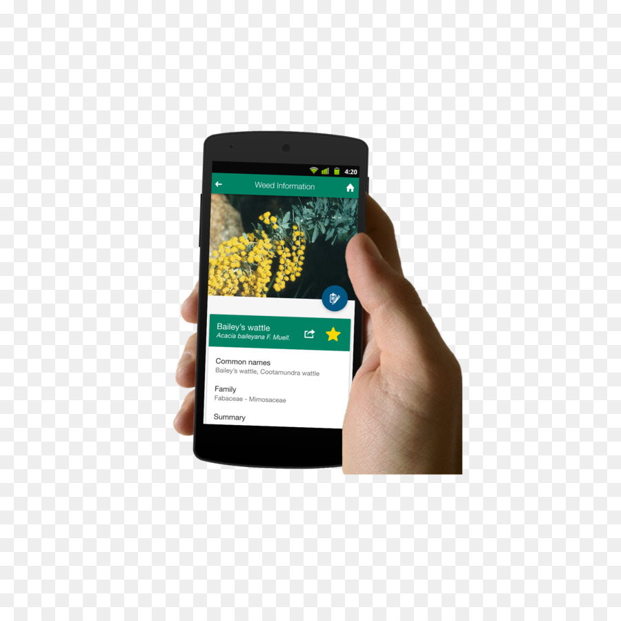 Smartphone，Los Dispositivos De Mano PNG