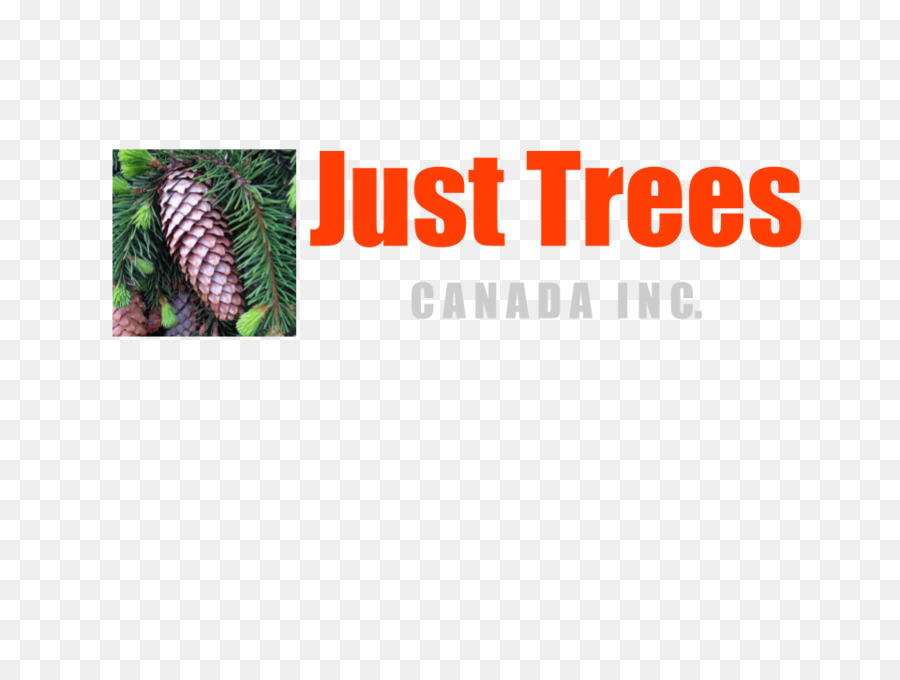 Solo árboles Canada Inc，árbol PNG