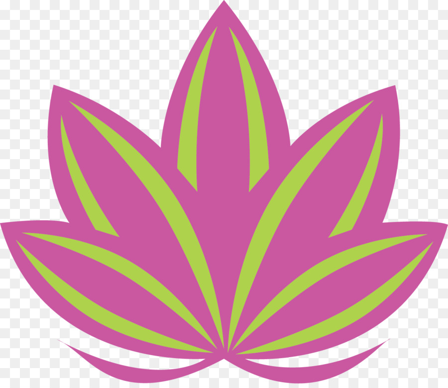 Loto Rosa，Florecer PNG