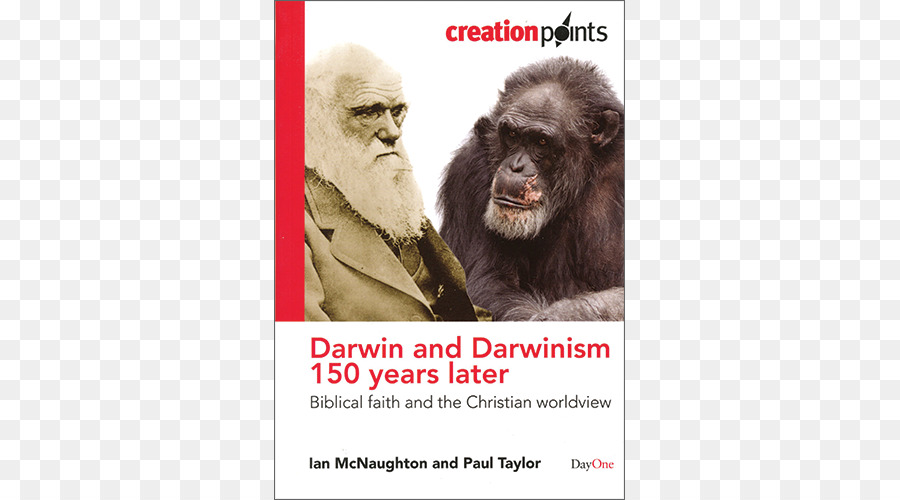 Darwin Y El Darwinismo 150 Años Después De La Fe Bíblica Y La Visión Cristiana Del Mundo，Chimpancé Común PNG