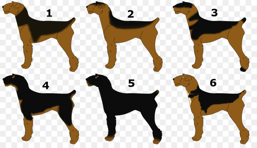 Raza De Perro，Airedale Terrier PNG