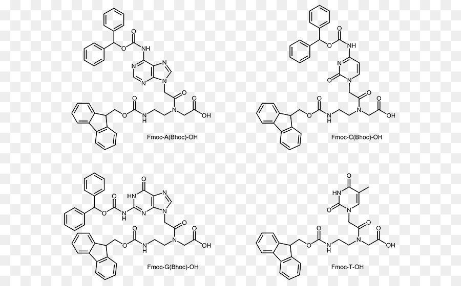 ácido Nucleico Peptídico，De Oligonucleótidos PNG