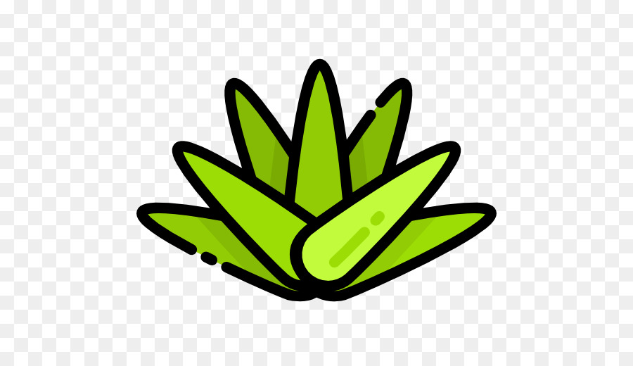 Iconos De Equipo，Agave PNG