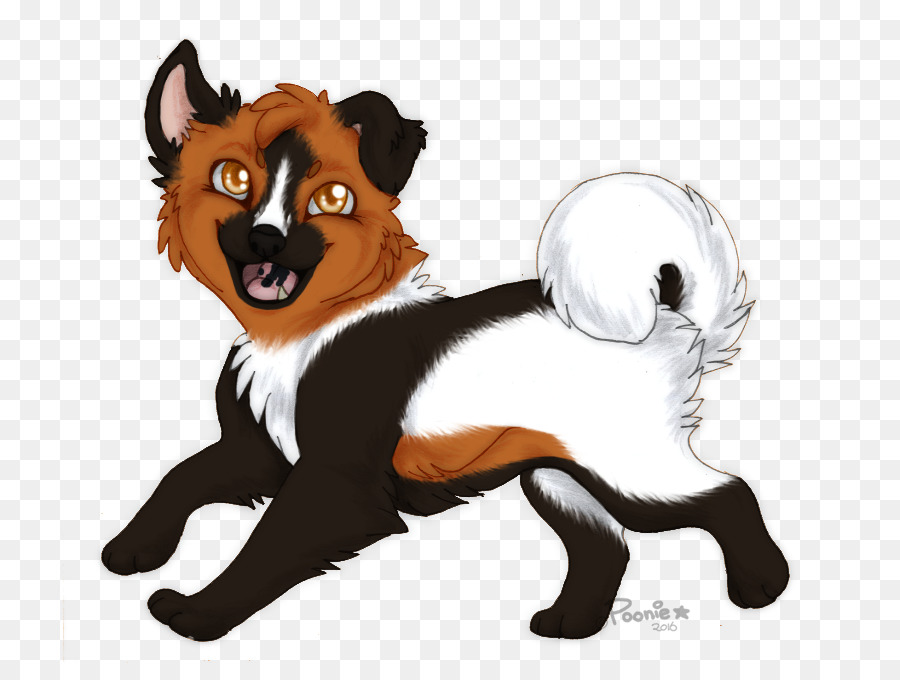 Perro，Gato PNG