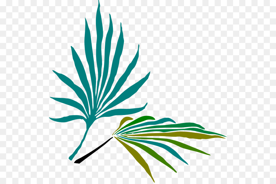 Fronda，Arecaceae PNG