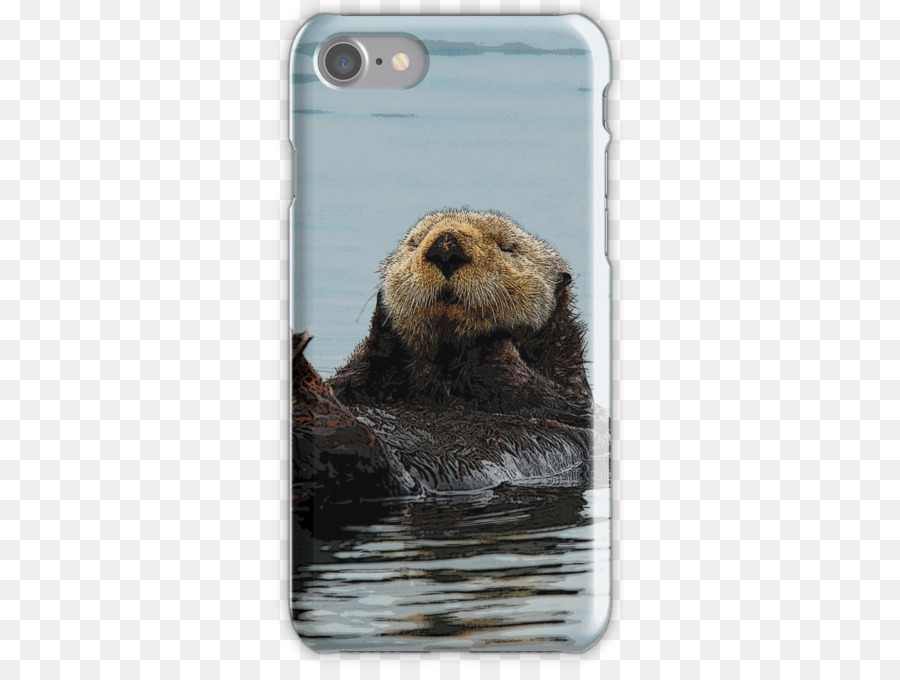 Nutria De Mar，Iphone 7 PNG