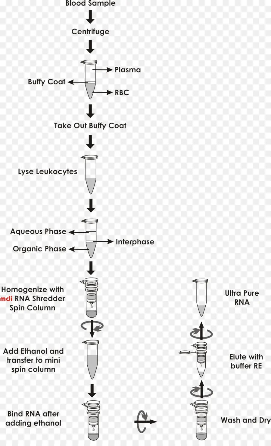 La Preparación Del Plásmido，Spin Columnbased Purificación De ácidos Nucleicos PNG