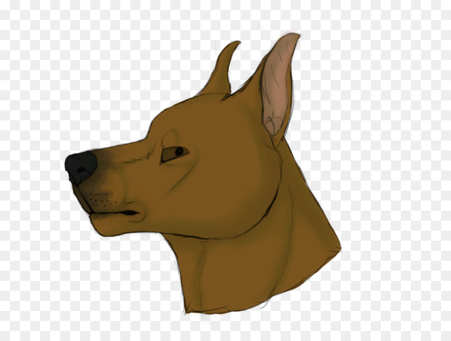 Raza De Perro，Perro PNG