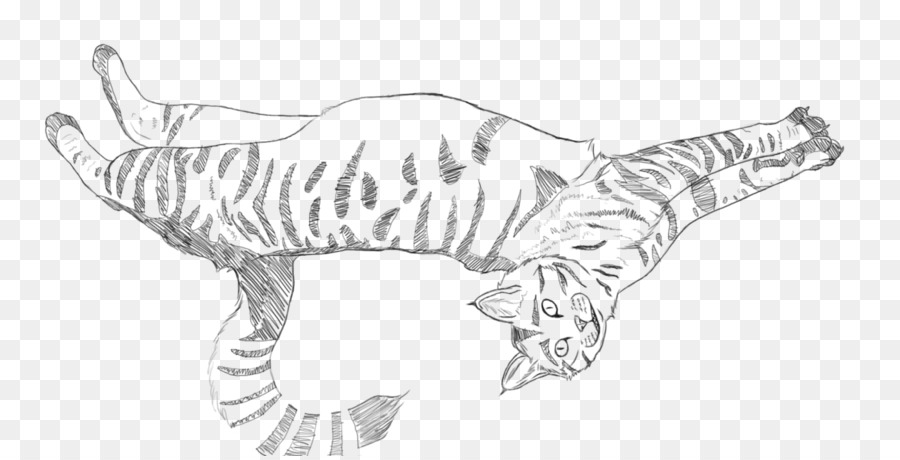 Tigre，Gato PNG