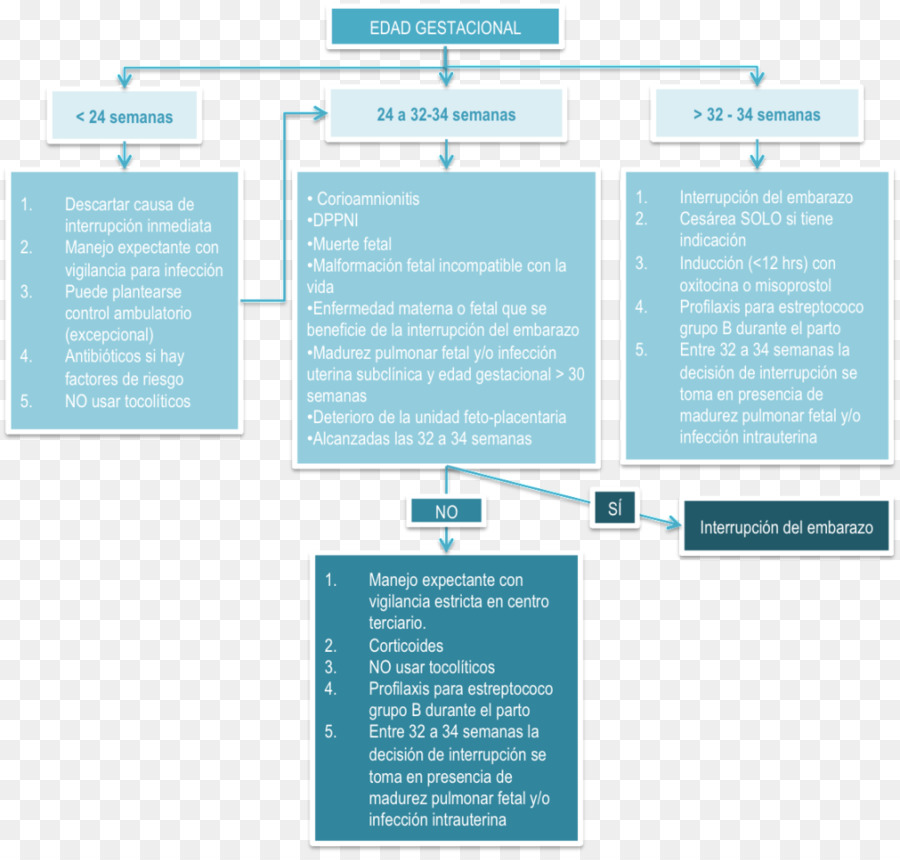 Mapa Conceptual，Trabajo De Parto Obstruido PNG