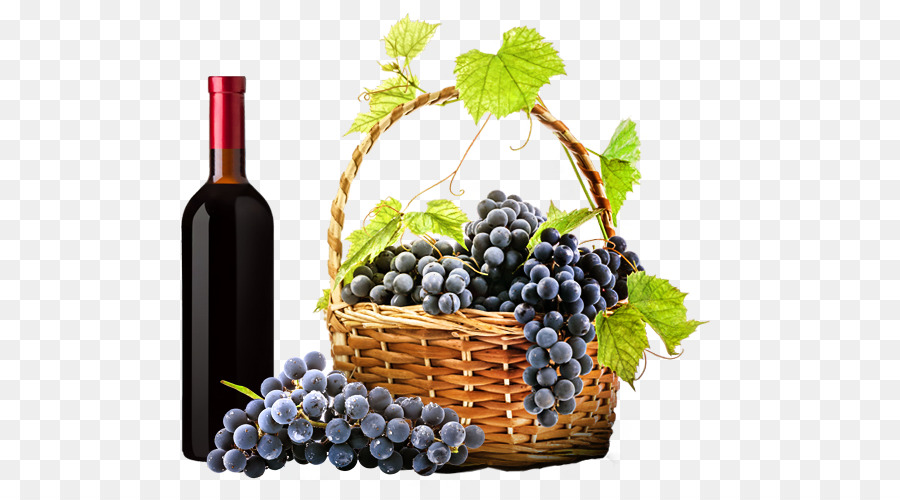 Vino，Bodega PNG