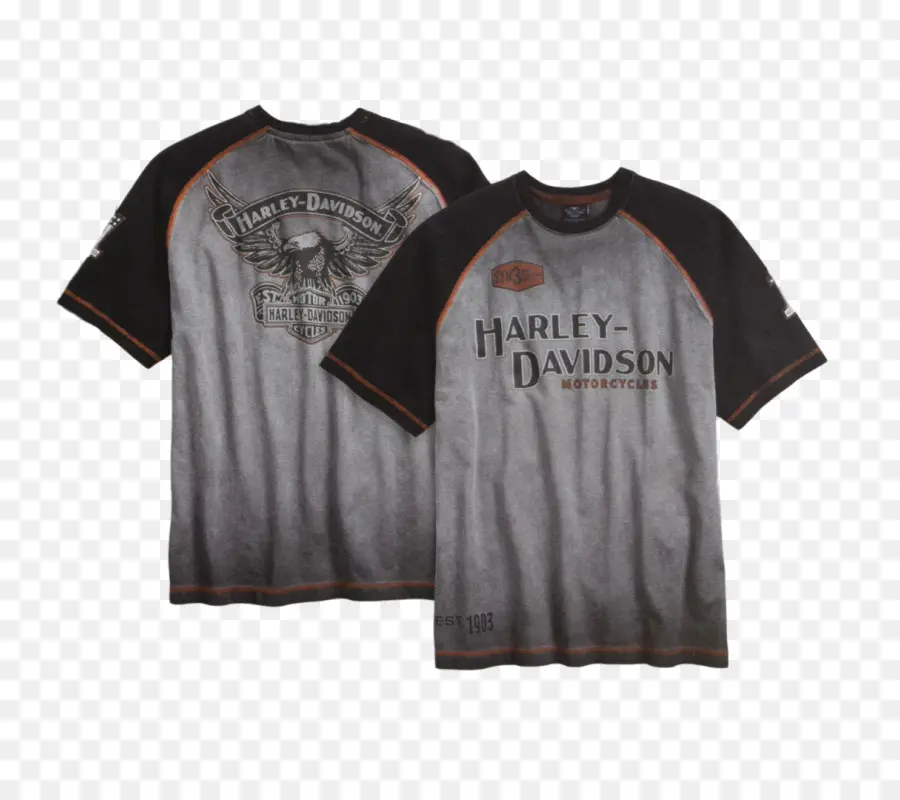 Camiseta，Harley Davidson De Nyc PNG