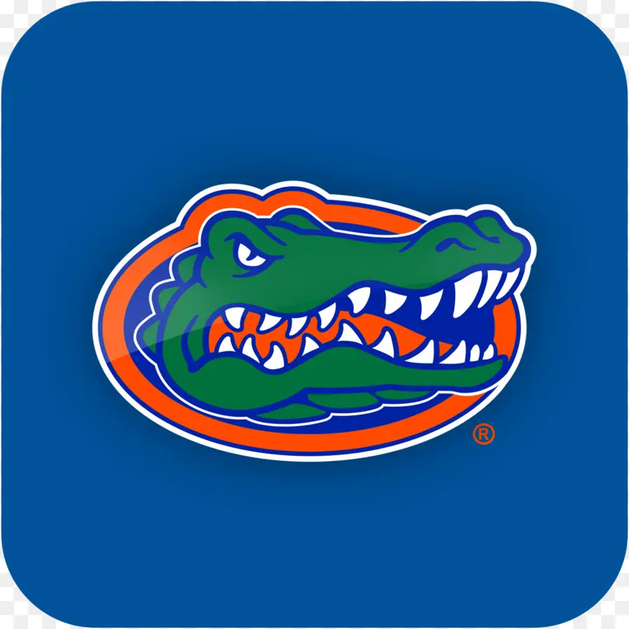 Ben Hill Griffin Stadium，Los Gators De Florida De Fútbol PNG