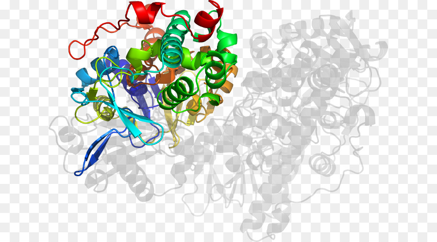 Arte，El Cuerpo De La Joyería PNG