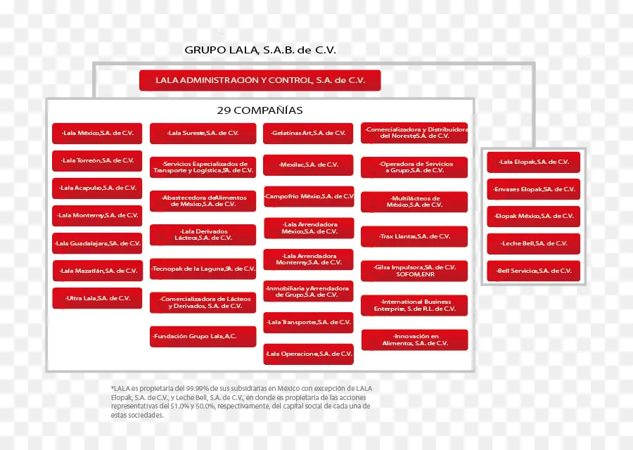 Estructura De La Empresa，Organización PNG