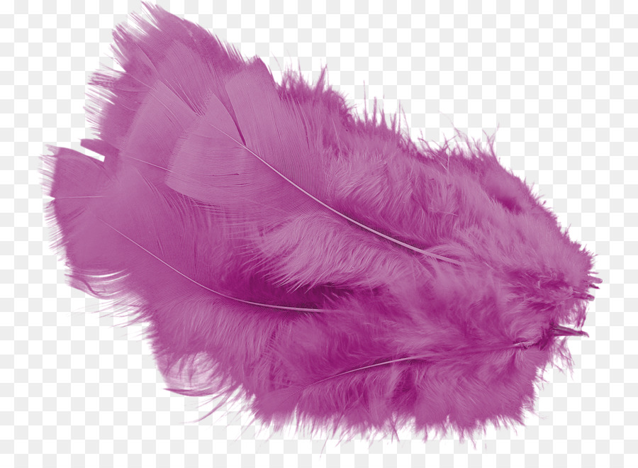 Pluma，Suave PNG