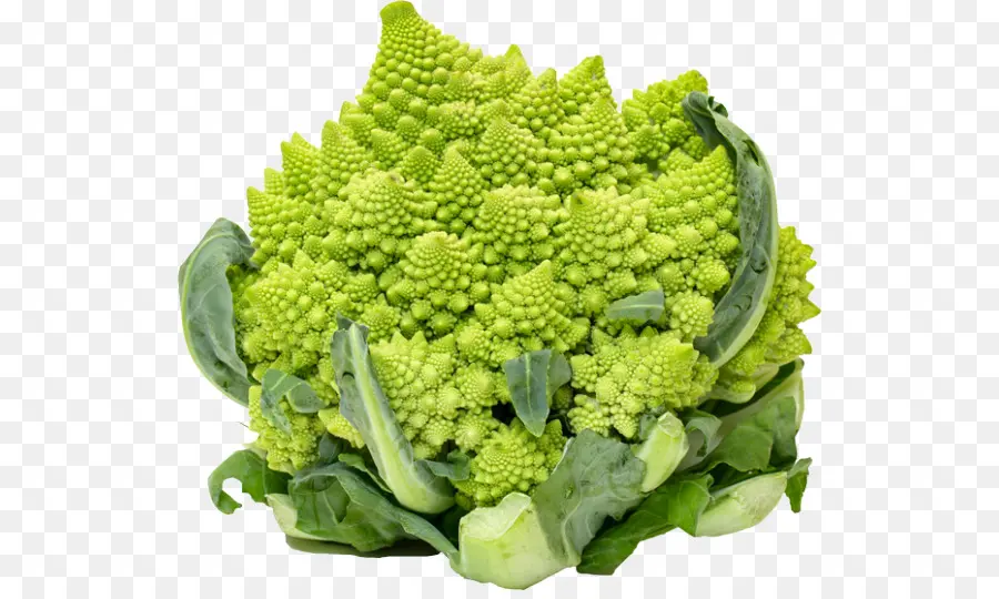 Brócoli，El Brócoli Romanesco PNG