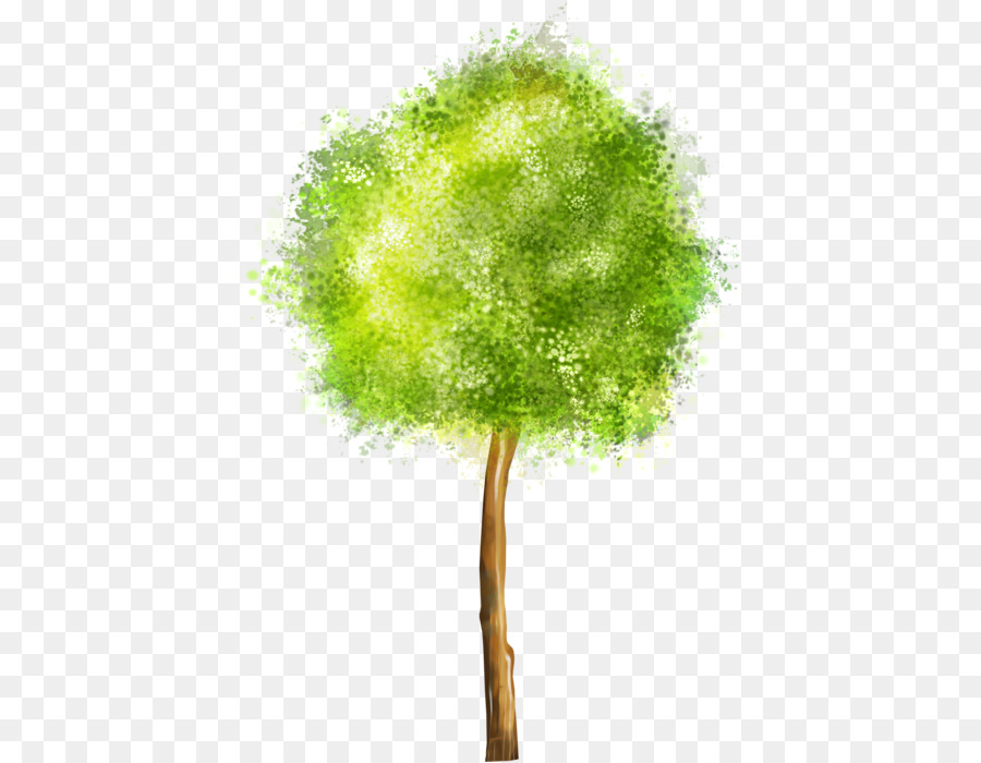 árbol Verde，Planta PNG