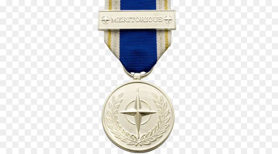 Medalla De Servicio Meritorio，Medalla PNG