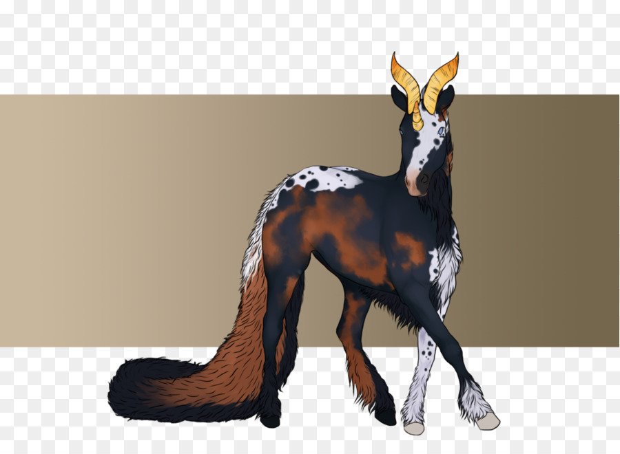 Canidae，Caballo PNG