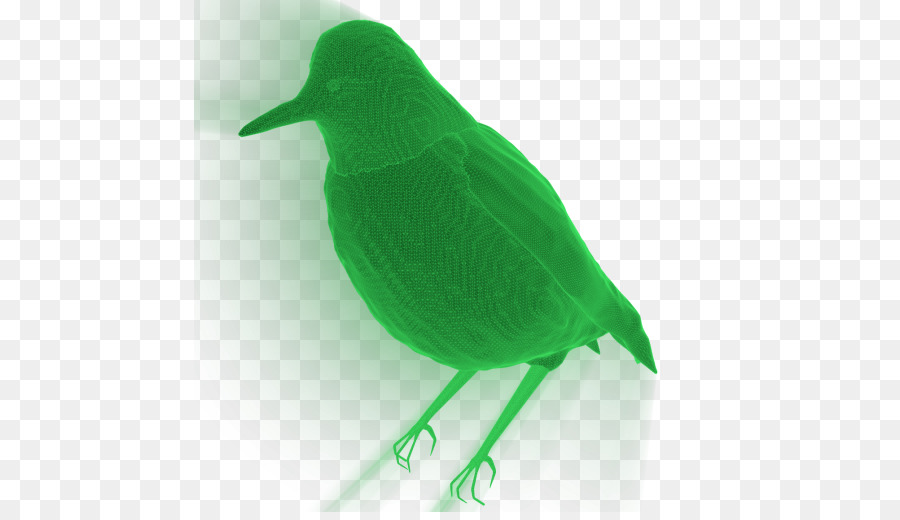 Pico，Pluma PNG