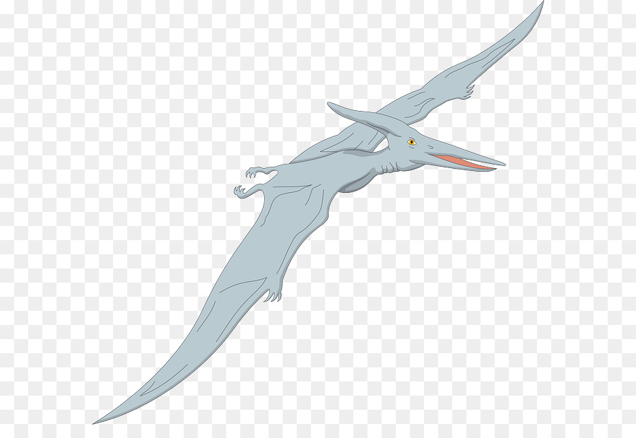 Quetzalcoatlus，Pterosaurios PNG