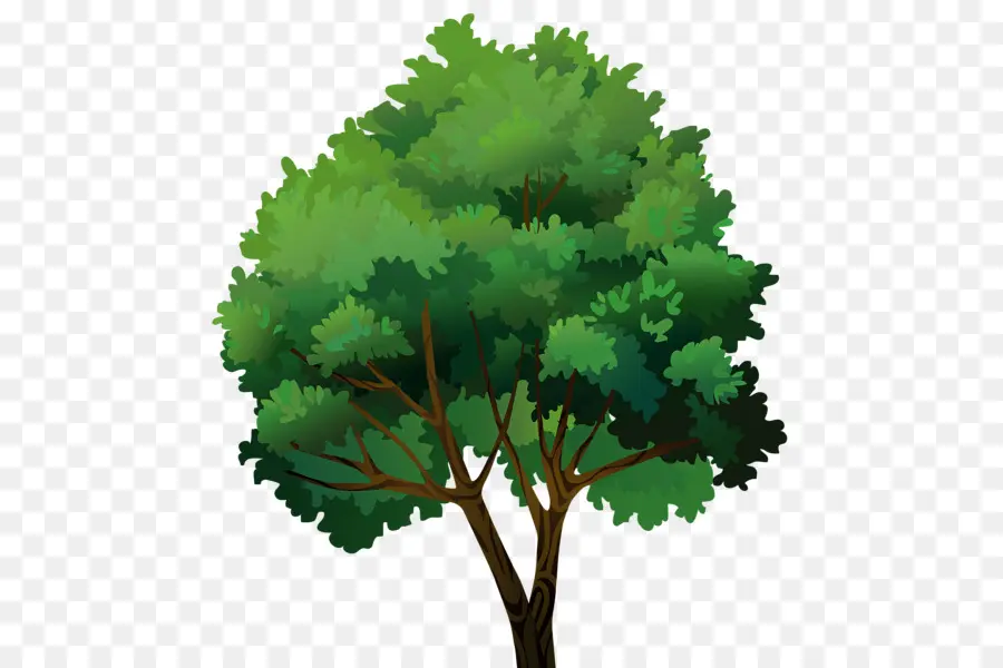 árbol Verde，Naturaleza PNG