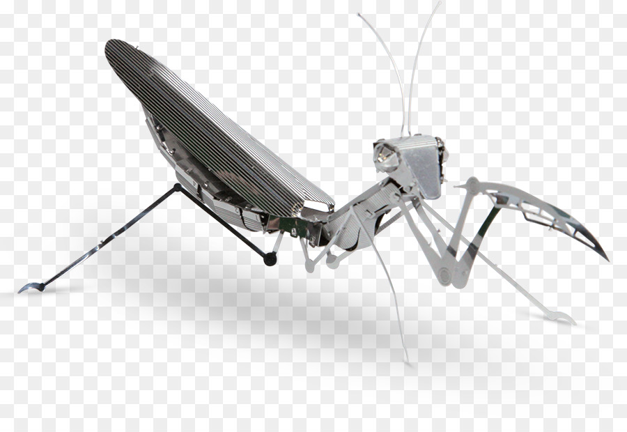 Mantis Robótica，Mantis PNG