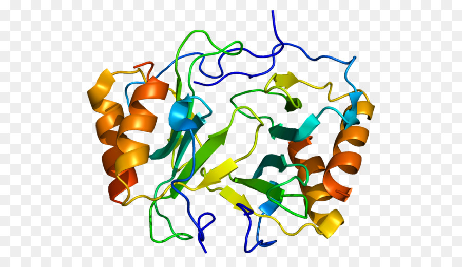 Factor De Plaquetas 4，Quimiocina PNG