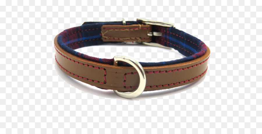 Correa，Collar De Perro PNG