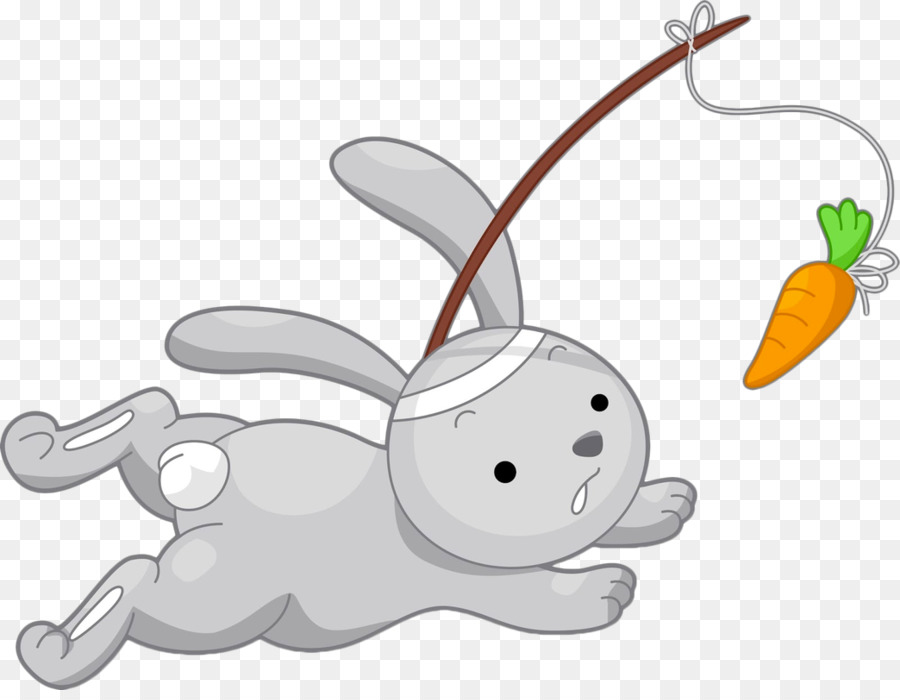 Fotografía De Stock，Rabbit PNG