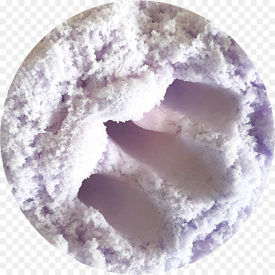 Postre De Gelatina，Limo PNG